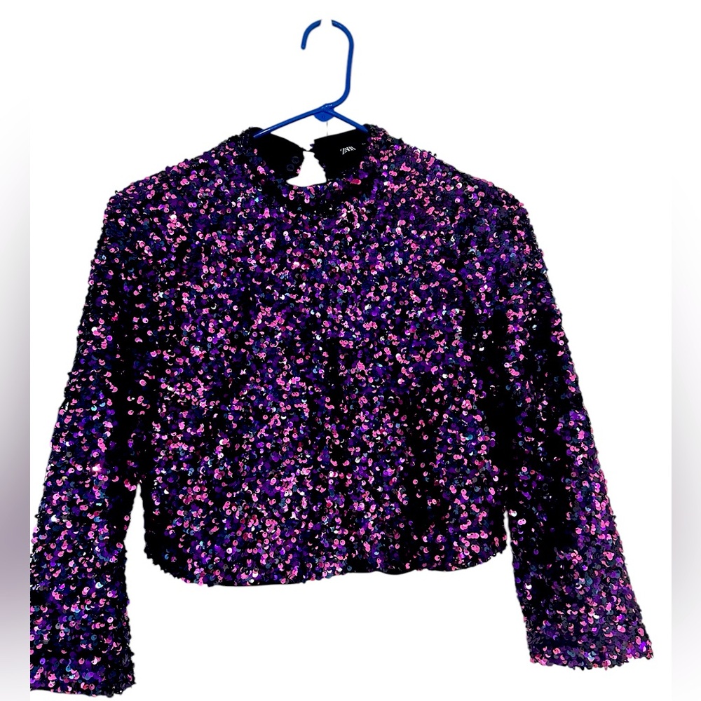 Zara sequin crop top